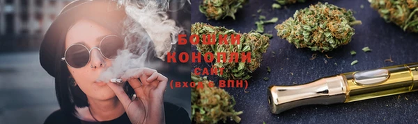 бошки Бронницы