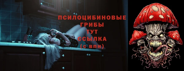бошки Бронницы