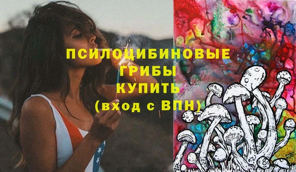 бошки Бронницы