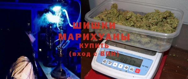 тгк Бородино